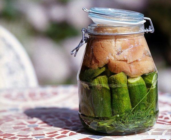 La fermentation maison : bienfaits et recettes faciles